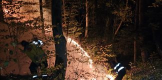 ULTIMA ORĂ Un nou incendiu de vegetație la Dumitrești