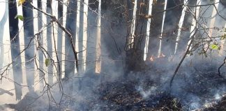 Incendiul de vegetație de la Motnău, comuna Dumitrești, lichidat după mai bine de 48 de ore