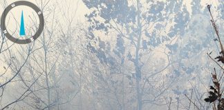 ULTiMA ORĂ Mai multe focare de incendii de vegetație pe raza comunei Dumitrești