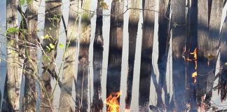 ULTIMA ORĂ Un nou incendiu de vegetație pe raza comunei Dumitrești
