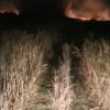 incendiu