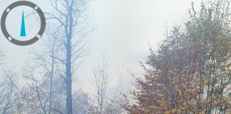 Pompierii au reușt să pună capăt incendiului de litieră de pe raza Ocolului Silvic Dumitrești
