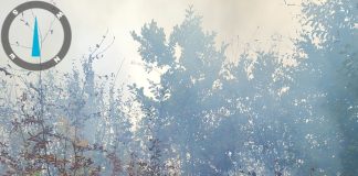 ULTIMA ORĂ S-au reaprins focare în zona Dumitrești