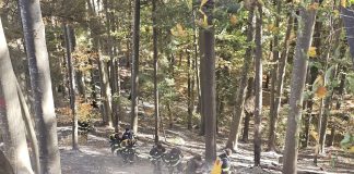 Un incendiu de vegetație izbucnit ieri după-amiază a fost lichidat după mai bine de 24 de ore