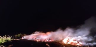 FOTO-VIDEO Incendiu de vegetație la Soveja incendiu Soveja
