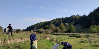 FOTO VIDEO Campanie de ecologizare la Soveja de Ziua Jandarmeriei Montane