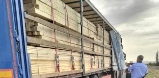 Amenzi și confiscări de lemne, în urma unor controale în sectorul silvic