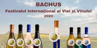 O mare medalie de aur și alte medalii de aur și argint pentru Moșia Panciu, la Concursul Național de Vinuri ”Bachus” 2023
