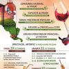 program bachus