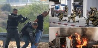 Două avioane TAROM au adus în România 346 de persoane din Israel, după atacurile HAMAS