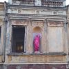 statuie roz 2