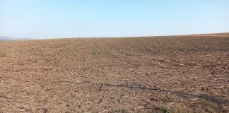 Peste 200 ha teren în Vânători vor fi transferate în domeniul public al județului / Se așteaptă investiții în turism și piscicultură