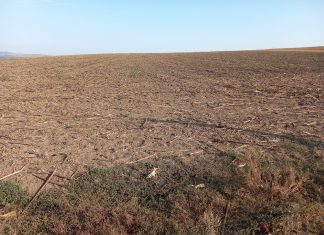 Peste 200 ha teren în Vânători vor fi transferate în domeniul public al județului / Se așteaptă investiții în turism și piscicultură