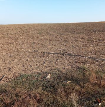 Peste 200 ha teren în Vânători vor fi transferate în domeniul public al județului / Se așteaptă investiții în turism și piscicultură