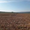 teren agricultura