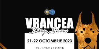 Vrancea Dog Show, în acest weekend, la Vânători