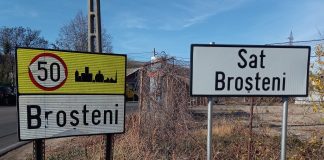 Un tânăr a ieșit cu mașina în decor, azi noapte