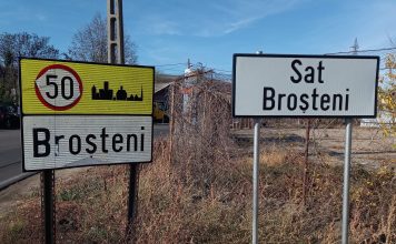 Un tânăr a ieșit cu mașina în decor, azi noapte