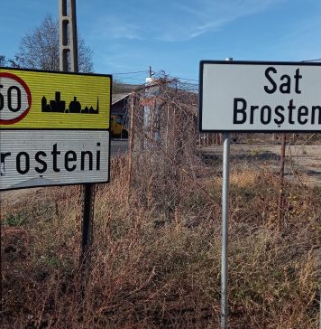 Un tânăr a ieșit cu mașina în decor, azi noapte