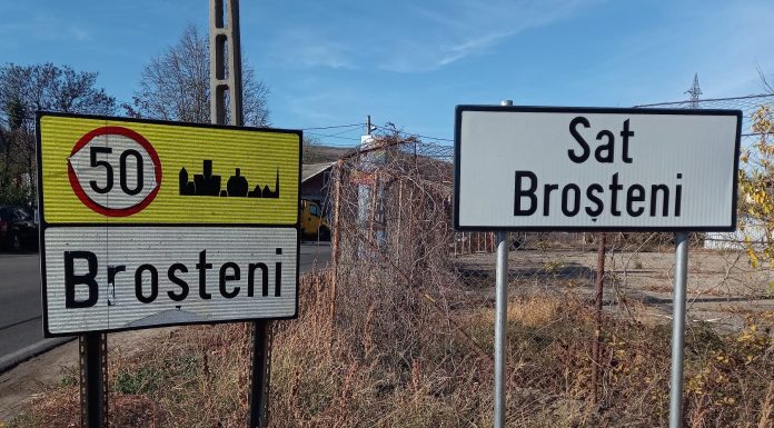 Un tânăr a ieșit cu mașina în decor, azi noapte