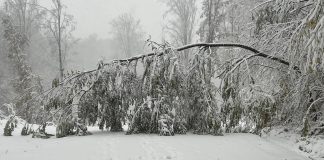 Meteo: s-au încheiat ploile și ninsorile, a rămas vântul
