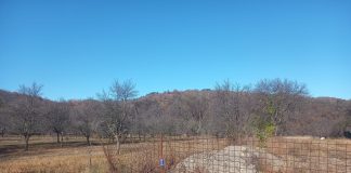 Meteo: vreme rece, în general, până la sfârșitul lunii noiembrie