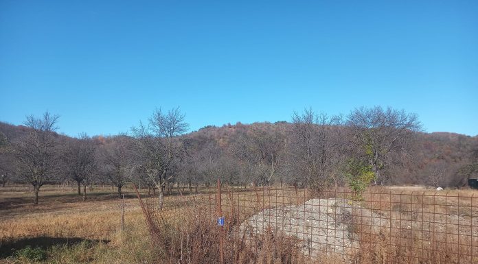 Meteo: vreme destul de bună până la mijlocul lunii decembrie