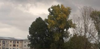 ULTIMA ORĂ Fotbal: CSM Focșani 2007, victorie la scor de maidan