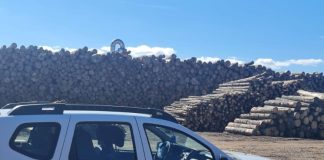 Surpriză: Se reiau concursurile pentru șefia Gărzilor Forestiere Focșani, Brașov și București