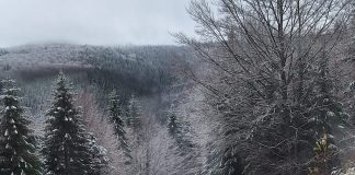 Meteo: lapoviță și ninsoare în următoarele zile