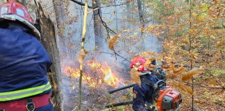 O persoană a fost amendată cu 2.500 lei pentru că ar fi dat foc la vegetația uscată, în Dumitrești