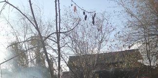 FOTO Focul a distrus anexele gospodăriei din Budești. O bătrână a făcut atac de panică