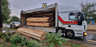 Un vrâncean și un brăilean, prinși cu mai multe lemne în camion decât ce scria în aviz