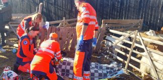 Bărbat de 50 de ani, mort la târgul de la Tichiriș