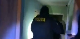 VIDEO Mandat de arestare preventivă pus în aplicare de polițiști