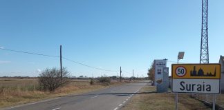 Lovită cu securea de concubin, o femeie a refuzat emiterea unui ordin de protecție provizoriu