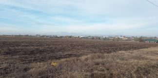 A fost prelungit termenul pentru depunerea Cererilor de plată pe 2024