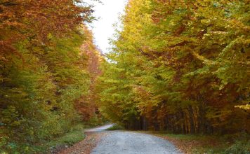 Meteo: intensificări de vânt, temperaturi scăzute, ploi, lapoviță și ninsoare, până la sfârșitul săptămânii