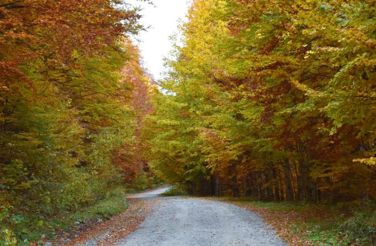 Meteo: intensificări de vânt, temperaturi scăzute, ploi, lapoviță și ninsoare, până la sfârșitul săptămânii