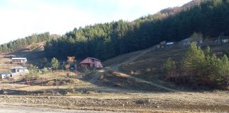 Ordin de protecție provizoriu, după ce o mamă a fost bruscată de fiul ei