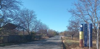 Un urs a băgat spaima în oamenii din Valea Sării