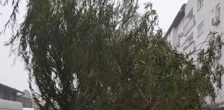 Meteo: avertizări de vânt și ninsoare în zonele montane