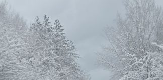 Meteo: codurile portocaliu și roșu au trecut. Rămânem sub cod galben de vânt până luni dimineață