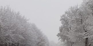 Problemele create de fenomenele meteo din ultimele două zile au fost remediate aproape în totalitate. Mai sunt circa 600 de consumatori vrânceni fără energie electrică
