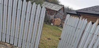 FOTO Au asfaltat și au blocat intrarea în curți, la Năruja