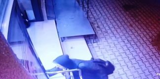 VIDEO Un ”Grinch” a trecut pe la Paco și a plecat cu bradul