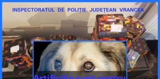 “Distracția voastră este chinul nostru!” – Dacă ar putea vorbi, sigur acestea ar fi vorbele pe care le-ar rosti animalele