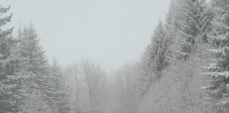 Atenție, șoferi! Zăpadă pe multe tronsoane de drum din Vrancea