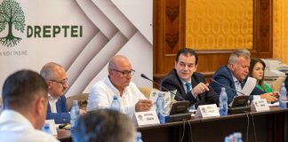 Parlamentarii Forța Dreptei și cei ai USR au depus o moțiune simplă împotriva ministrului Educației, Ligia Deca