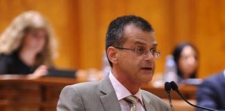 Fostul deputat Nini Săpunaru vizează un post în conducerea Autorității de Supraveghere Financiară